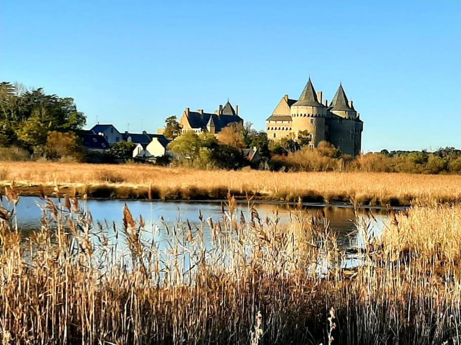 Hyper Centre De Sarzeau, Grand Au Calme Avec Jardinet *